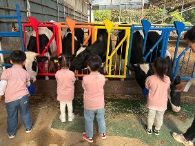 1학년 현장체험학습(24.10.31.)